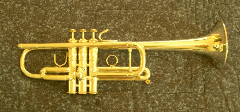 GOLDPLATE your already silverplated TRUMPET if it has few dents / 95% silver