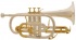 Picture of Cornet (Eb and Bb) - Eastman Bb Cornet