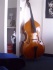 Italian double bass