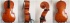 cello image: Hill Model Pegs and Italian Varnish